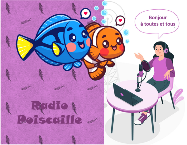Bonne Nouvelle